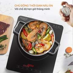 Bếp từ Famco FC3302 ( không chảo)