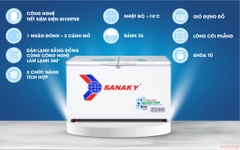 Tủ bảo quản 1 ngăn SANAKY dàn đồng Inveter-4099A3/320L