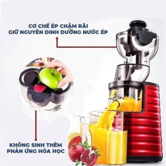 Máy ép chậm hoa quả Misushita MS-2133