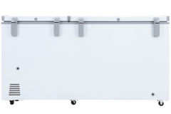 Tủ bảo quản 2 ngăn SANAKY-6699W1 dàn lạnh đồng/500L