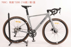 DTFLY T-200 road bike