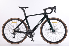 DTFLY R-3000 Road bike carbon T1000