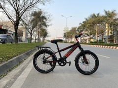 BRAVE WILL  B-118