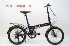 DTFLY P8 Xe gập 20 inch