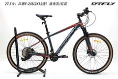 DTFLY FX-24s