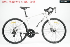 DTFLY R-070 (2024)