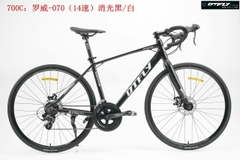 DTFLY R-070 (2024)