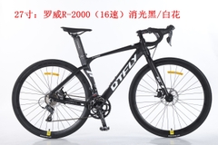 DTFLY R-2000 (2024)