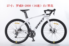 DTFLY R-2000 (2024)
