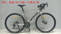 DTFLY R-5 Road khung Alloymagie (2x9)