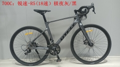 DTFLY R-5 Road khung Alloymagie (2x9)