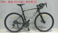 DTFLY R-5 Road khung Alloymagie (2x9)