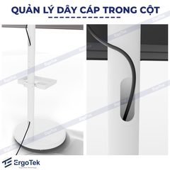 Giá Treo Tivi Di Động Ergotek E2190 (17-35 inch) - Xoay 360 độ