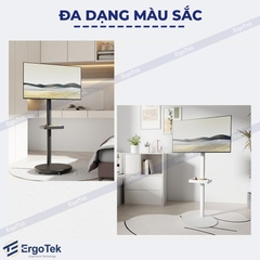Giá Treo Tivi Di Động Ergotek E2190 (17-35 inch) - Xoay 360 độ