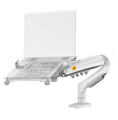 Combo Giá treo màn hình máy tính North Bayou F80 và Giá đỡ Laptop NB FP2 Trắng