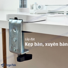 Giá treo màn hình máy tính Ergotek EZ100 tương thích 27 - 42 inch và tải trọng 12kg