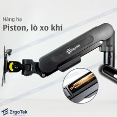 Giá treo màn hình máy tính Ergotek EZ100 tương thích 27 - 42 inch và tải trọng 12kg