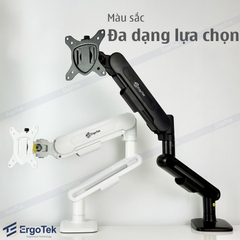 Giá treo màn hình máy tính Ergotek EZ100 tương thích 27 - 42 inch và tải trọng 12kg