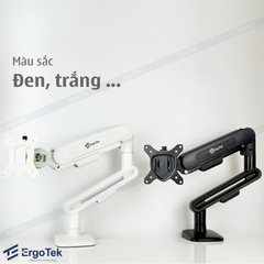 Giá treo màn hình máy tính Ergotek EZ100 tương thích 27 - 42 inch và tải trọng 12kg