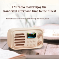 Loa Bluetooth NowGo Q12 Pro (Bluetooth v5.3, tích hợp đài Radio FM & TF Card)