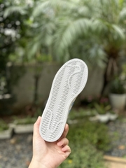 sò trắng xanh
