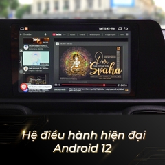 Màn hình Android liền cam 360 Elliview S5