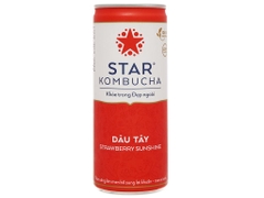 STAR KOMBUCHA Lon 250ml