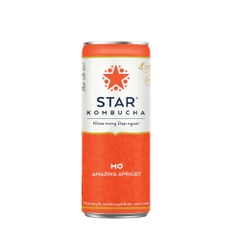 STAR KOMBUCHA Lon 250ml