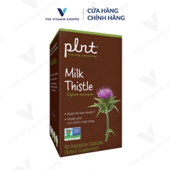 Thực phẩm bảo vệ sức khỏe MILK THISTLE