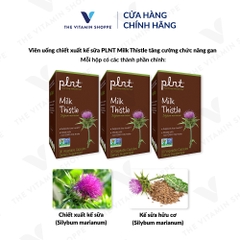 Thực phẩm bảo vệ sức khỏe MILK THISTLE