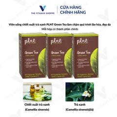 Thực phẩm bảo vệ sức khỏe GREEN TEA