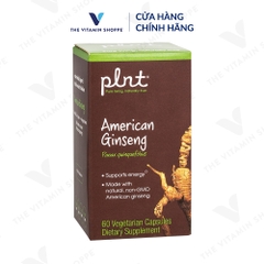 Thực phẩm bảo vệ sức khỏe AMERICAN GINSENG