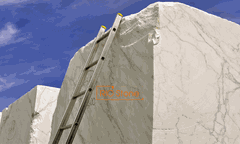 [Đá cẩm thạch - Marble] CARARA WHITE