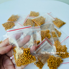 PHÂN TAN CHẬM HẠT VÀNG NPK 14-14-14 (1 GÓI 10G), chuyên dùng cho kiểng lá, cây kiểng nội thất, Cây Tươi Nguyên