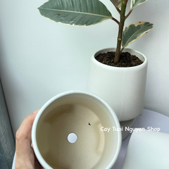 CHẬU TRÁNG MEN 3 CHÂN CAO 10*11CM, (1 chậu), chậu trồng cây, trang trí nội thất, Cây Tươi Nguyên CTN1498