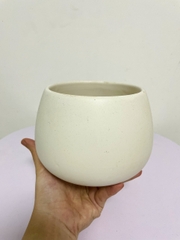 CHẬU HẠT DẺ TRÁNG MEN (13*9cm) (1 chậu), tráng men, chậu cây mini, sen đá, xương rồng Cây Tươi Nguyên CTN0980