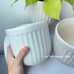 CHẬU TRÁNG MEN MOCHI KẺ 13*13CM, (1 chậu),chậu trồng cây, trang trí nội thất, Cây Tươi Nguyên CTN1495