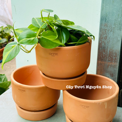 CHẬU ĐẤT NUNG ENVIE KÈM ĐĨA 16*12CM, (1 chậu),chậu trồng cây, trang trí nội thất, Cây Tươi Nguyên CTN1521