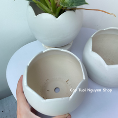 CHẬU TRÁNG MEN VỎ TRỨNG 13*12CM, (1 chậu),chậu trồng cây, trang trí nội thất, Cây Tươi Nguyên CTN1494