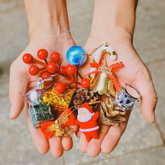 [GIAO HOẢ TỐC] CÂY SƠN TÙNG, (cao 30-40cm), cây Noel mini, cây Noel thật để bàn, cây Giáng sinh, Cây Tươi Nguyên CTN0720