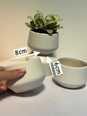 CHẬU KIM CƯƠNG BẸT TRÁNG MEN (8*6 cm) (1 chậu), tráng men, chậu cây mini, sen đá, xương rồng Cây Tươi Nguyên CTN1544