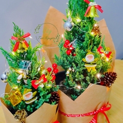 SET 12 MÓN TRANG TRÍ NOEL cực xinh TẶNG KÈM 1 KRAFT, trang trí cây noel mini, trang trí cây giáng sinh để bàn CTN0770