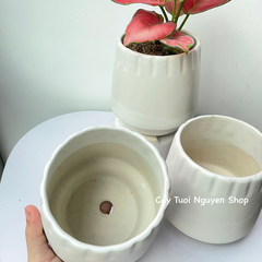 CHẬU TRÁNG MEN KẺ MIỆNG 10*12CM, (1 chậu), chậu trồng cây, trang trí nội thất, Cây Tươi Nguyên CTN1496