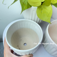 CHẬU TRÁNG MEN MOCHI KẺ 13*13CM, (1 chậu),chậu trồng cây, trang trí nội thất, Cây Tươi Nguyên CTN1495
