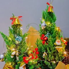 [GIAO HOẢ TỐC] CÂY SƠN TÙNG, (cao 30-40cm), cây Noel mini, cây Noel thật để bàn, cây Giáng sinh, Cây Tươi Nguyên CTN0720