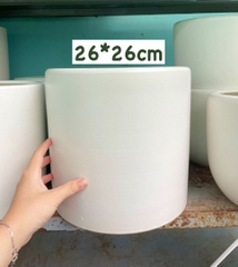 [CHỈ GIAO HOẢ TỐC] CHẬU TRỤ TRÁNG MEN TRẮNG Size 22CM, 26CM (1 chậu), tráng men, chậu cây trong nhà đẹp, Cây Tươi Nguyên