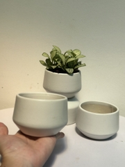 CHẬU KIM CƯƠNG BẸT TRÁNG MEN (8*6 cm) (1 chậu), tráng men, chậu cây mini, sen đá, xương rồng Cây Tươi Nguyên CTN1544