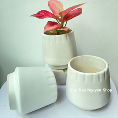 CHẬU TRÁNG MEN KẺ MIỆNG 10*12CM, (1 chậu), chậu trồng cây, trang trí nội thất, Cây Tươi Nguyên CTN1496