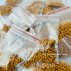 PHÂN TAN CHẬM HẠT VÀNG NPK 14-14-14 (1 GÓI 10G), chuyên dùng cho kiểng lá, cây kiểng nội thất, Cây Tươi Nguyên