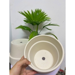 CHẬU ĐẤT NUNG TRẮNG TRÒN GỜ LỚN ENVIE (18*14cm) hàng Xuất khẩu, (1 chậu), trồng cây, trang trí nội thất, Cây Tươi Nguyên